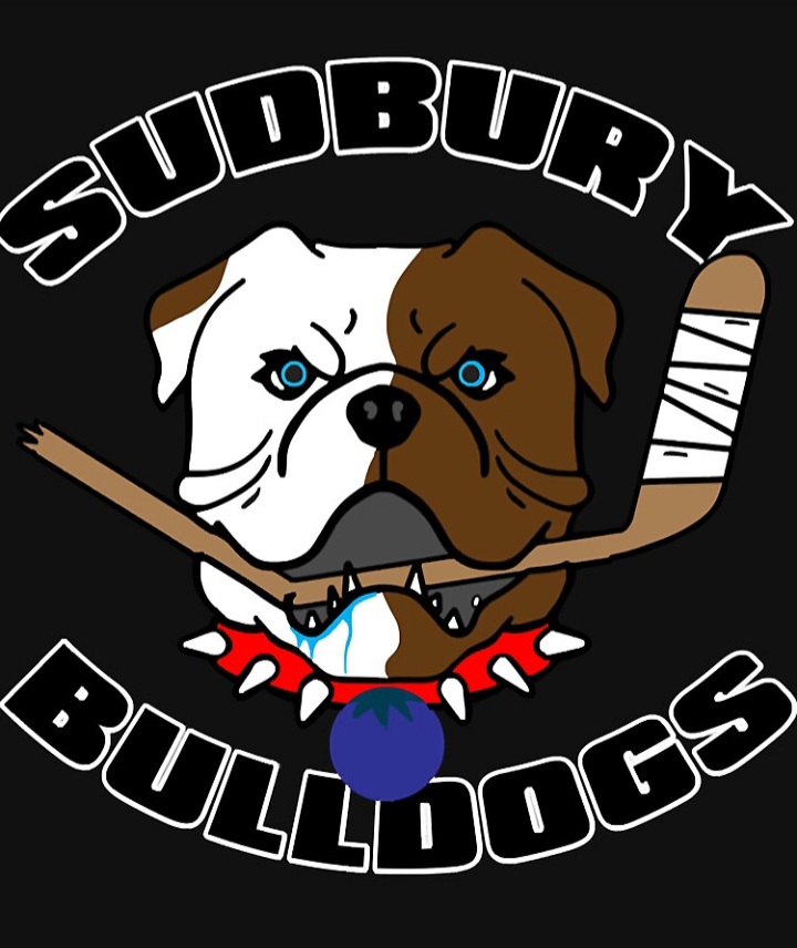 sudbury bulldog iron on transfers for clothing